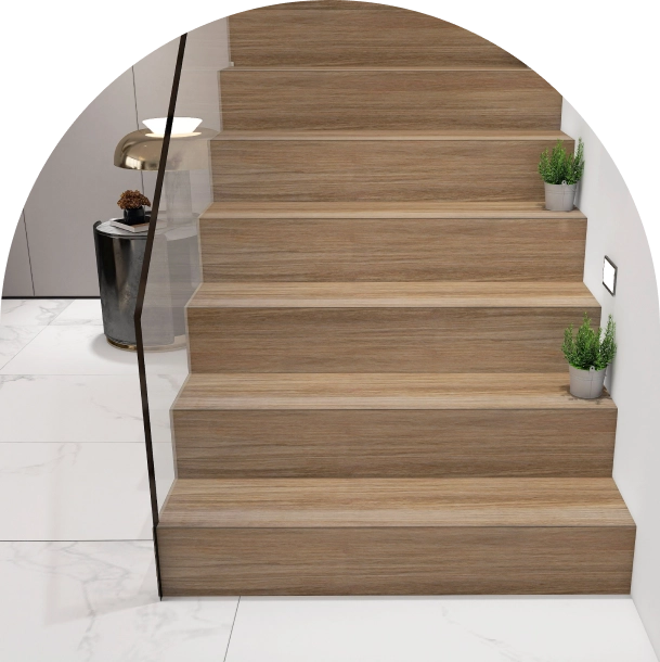 300cm x 1200cm