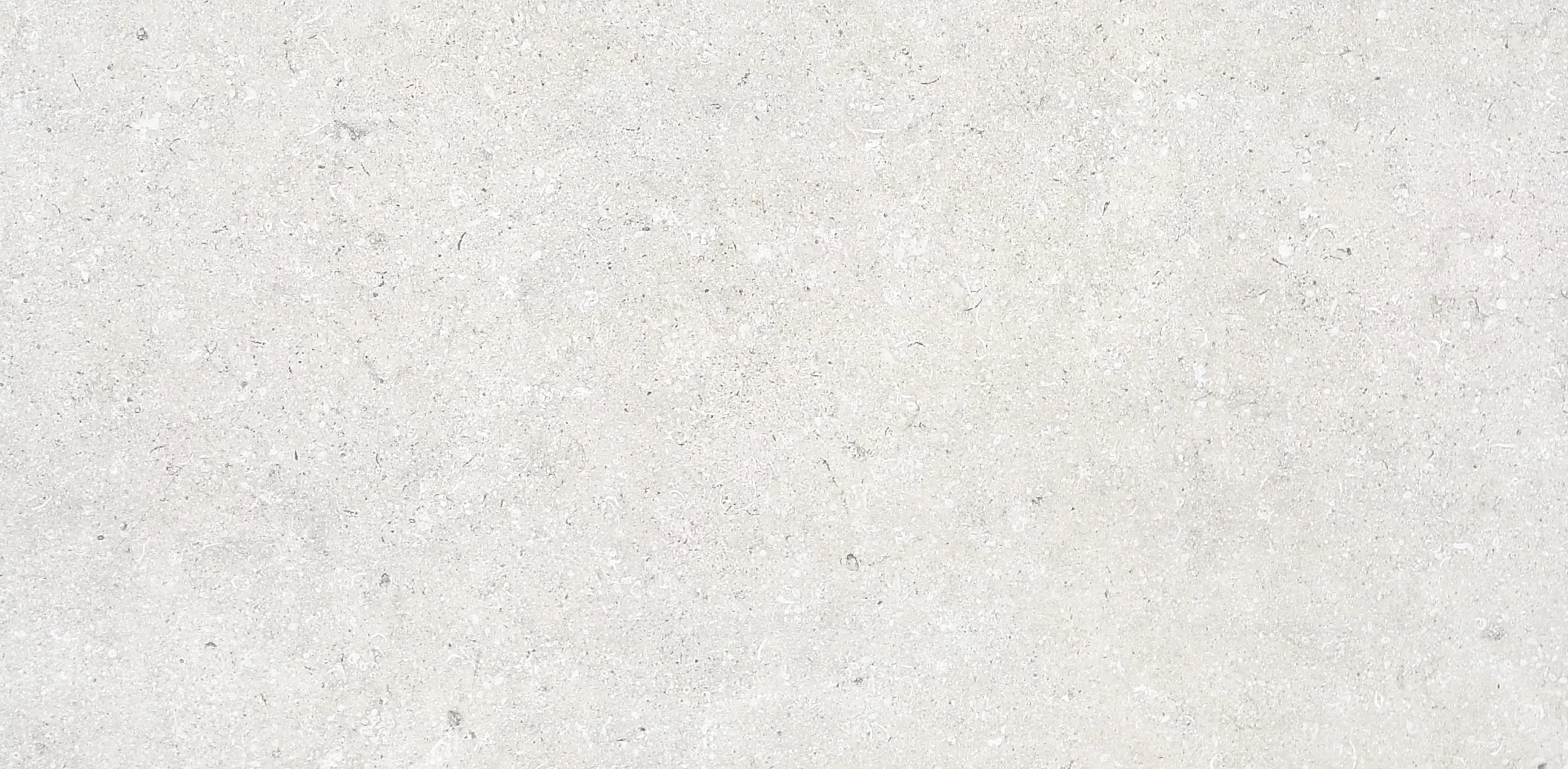 MS61101R